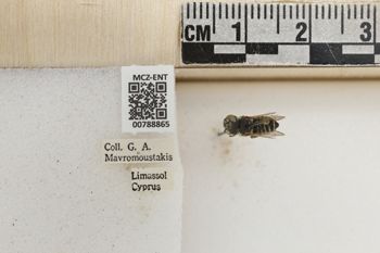 Media type: image;   Entomology 788865 Aspect: Labels